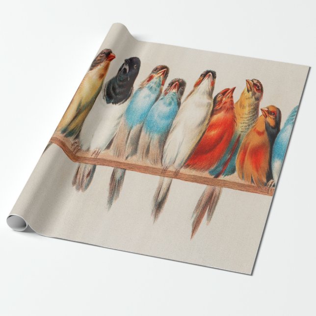 A Perch Of Birds Wrapping Paper (Unrolled)