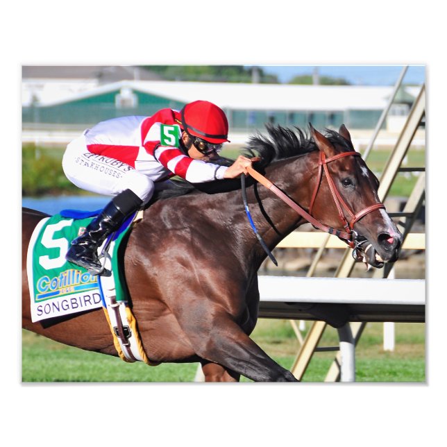 A Perfect Song Photo Print (Front)