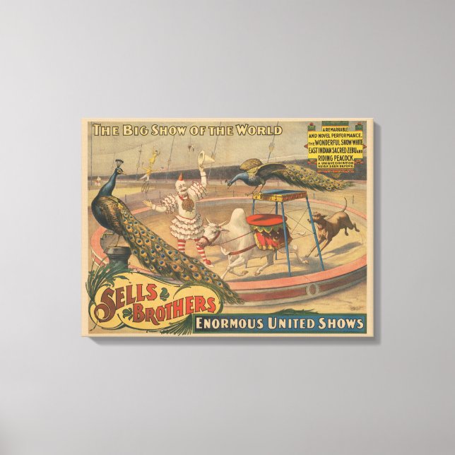 A Performing Zebu And Peacock With Clown Trainer Canvas Print (Front)