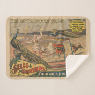 A Performing Zebu And Peacock With Clown Trainer Sherpa Blanket