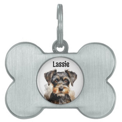 a Pet Tag for Schnauzer