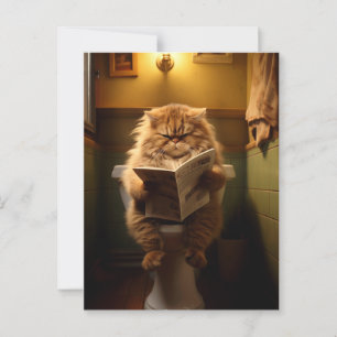 A Philosopher's Sanctuary The Daily Digest Postcard