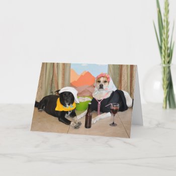 A Photo Of 2 Dogs Posing As An Anniversary Couple Card by PlaxtonDesigns at Zazzle