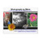 A* Photography & More Business Card Postcard