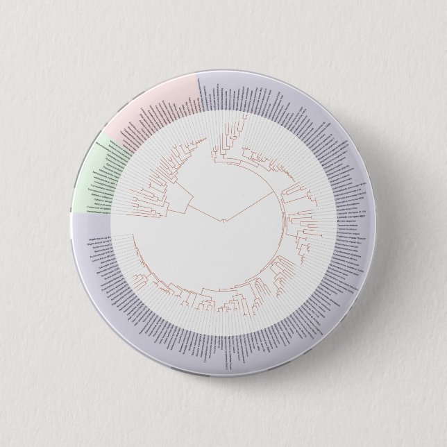 A phylogenetic tree of life Chart Button (Front)