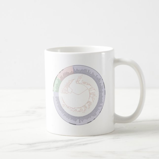 A phylogenetic tree of life Chart Coffee Mug (Right)