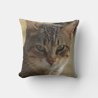 A picture of a serious cat's face in a warm color throw pillow