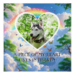 A Piece of My Heart Lives in Heaven Dog Memorial Acrylic Print