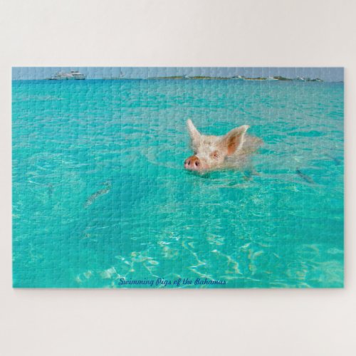 A Pig goes Swimming in the Bahamas Jigsaw Puzzle