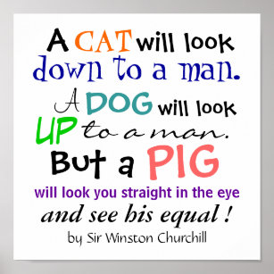 A PIG Quote by Sir Winston Churchill Poster