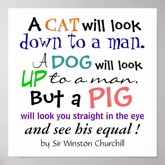 A PIG Quote by Sir Winston Churchill Poster (Front)