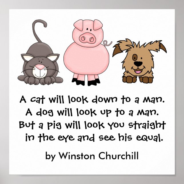 A PIG Quote by Winston Churchill Poster (Front)