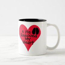 A Pig Rescued My Heart