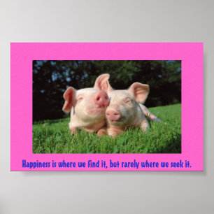 A pigs life poster