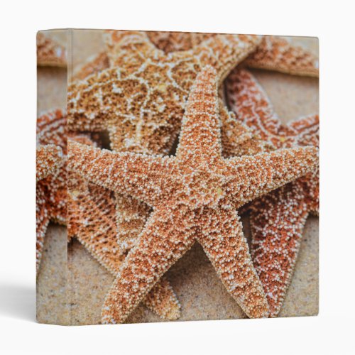 A Pile of Large Sugar Starfish 1 Photo Album Binder