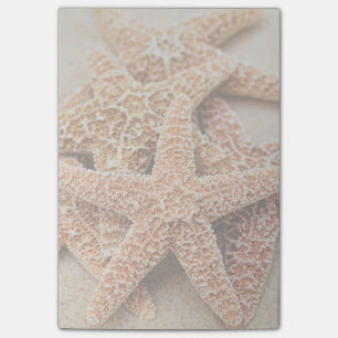 A Pile of Large Sugar Starfish Post-it Notes