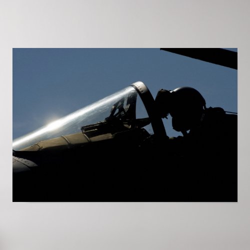 A pilot prepares for take_off poster