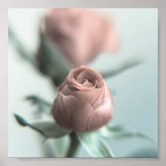A Pink Rose for your Sweetheart... Poster