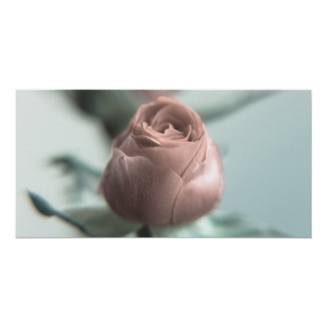 A Pink Rose for your Sweetheart... Poster (Front)