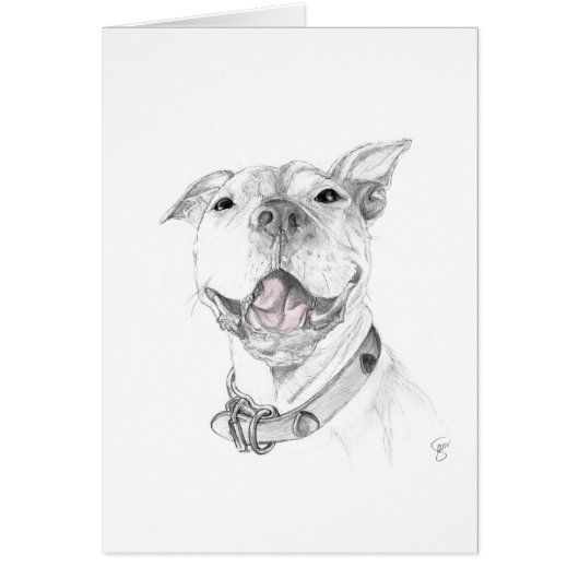 A Pit Bull Smile Cards (Front)