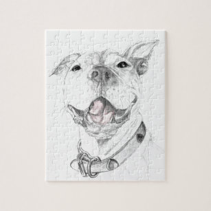puzzle toys for pit bulls