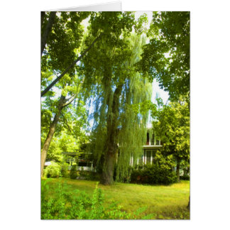 A Place Beyond - Mystery Almost in Sight