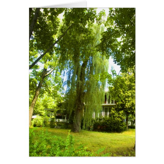 A Place Beyond - Mystery Almost in Sight Card (Front)