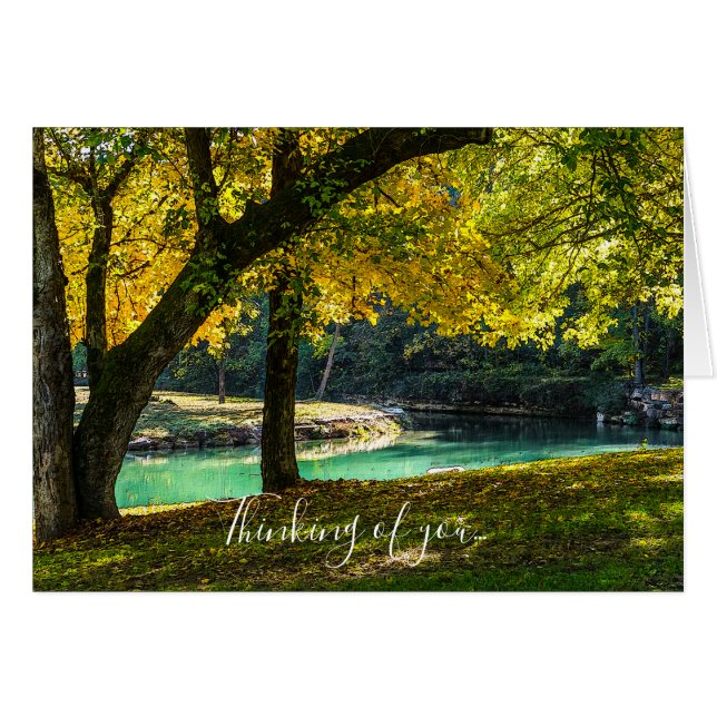 A Place Under The Shade Tree Thinking Of You Cards (Front Horizontal)