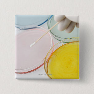 A plastic gloved hand sampling from petrie pinback button