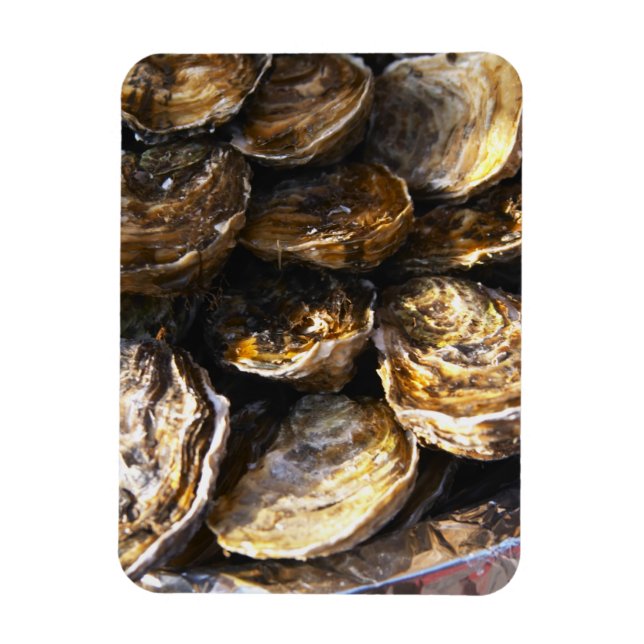 A plate of oysters. magnet (Vertical)