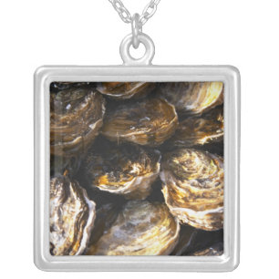 A plate of oysters. silver plated necklace
