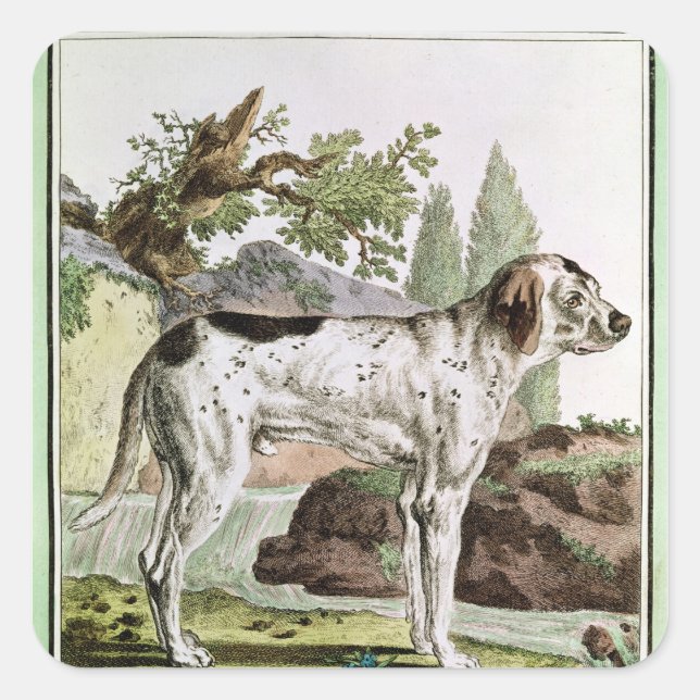 A Pointer, illustration from 'Histoire Square Sticker (Front)