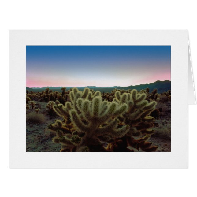 "A Pointy View" Cards (Front Horizontal)