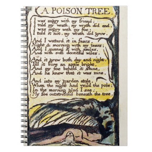 A Poison Tree plate 50 Bentley 49 from Songs Notebook