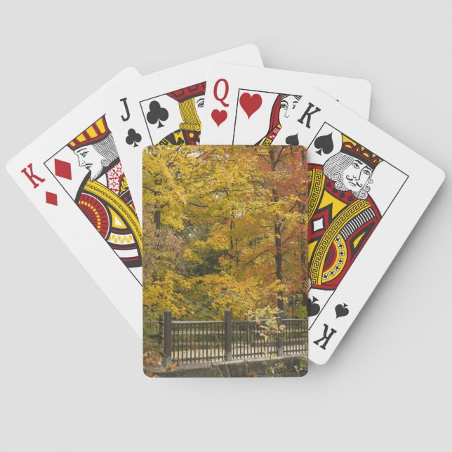 a poker cards (Back)