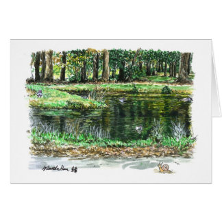 A pond for ducks cards