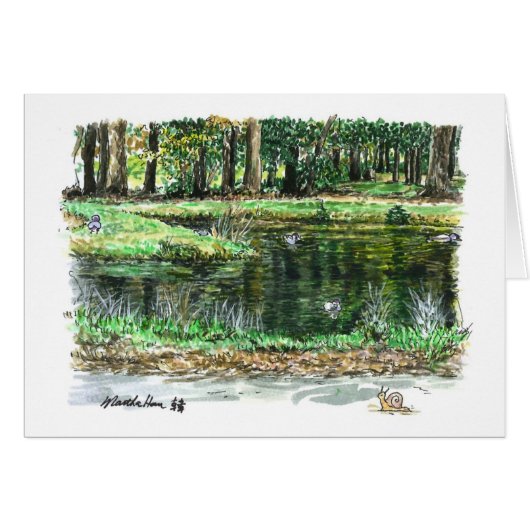 A pond for ducks cards (Front Horizontal)