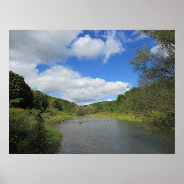 A pond poster (Front)