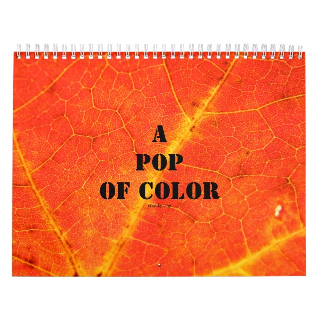 A Pop of Color Calendar (Cover)