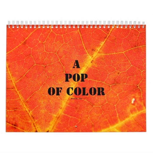 A Pop of Color Calendar