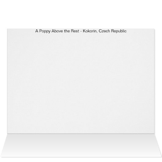 A Poppy Above the Rest (Inside Horizontal (Top))