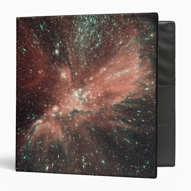 A population of infant stars in the Milky Way 3 Ring Binder (Front/Inside)