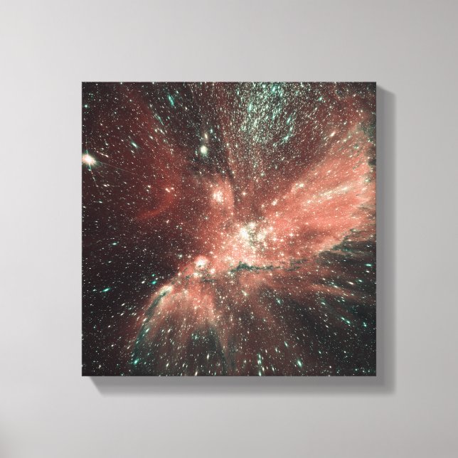 A population of infant stars in the Milky Way Canvas Print (Front)