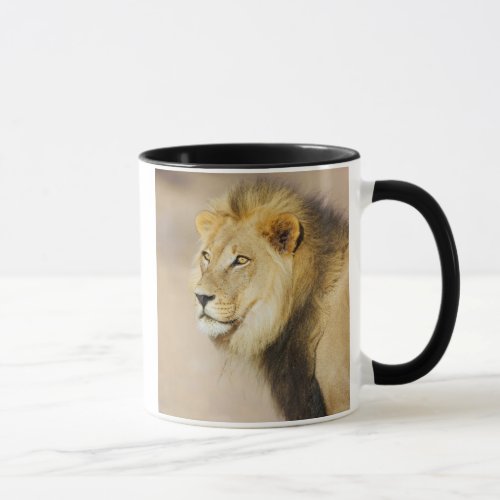 A portrait of a Lion Kgalagadi Transfrontier Park Mug