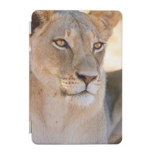 A portrait of a Lioness looking into the distance iPad Mini Cover