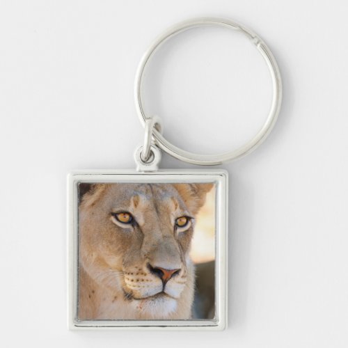 A portrait of a Lioness looking into the distance Keychain