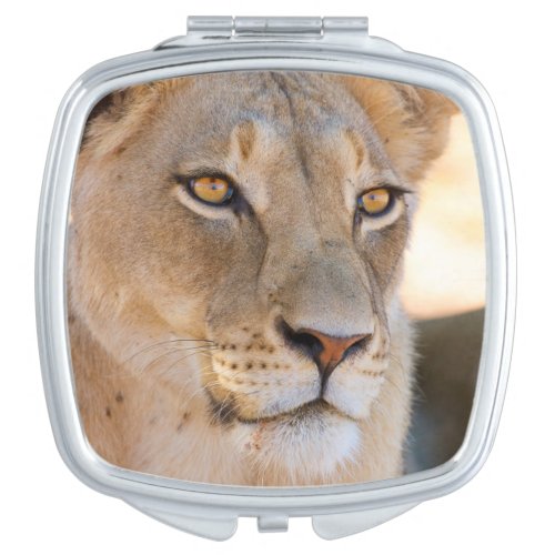 A portrait of a Lioness looking into the distance Vanity Mirror