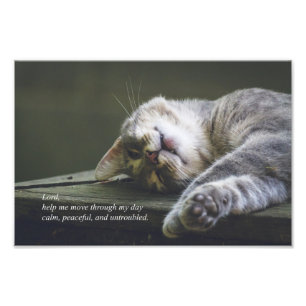 A Prayer For Serenity (Murphy) Photo Print