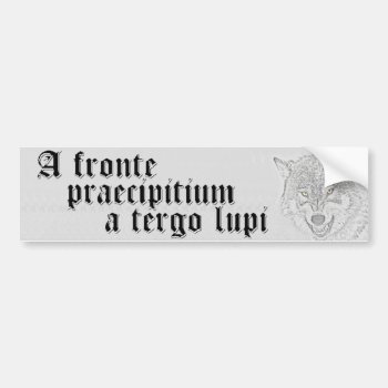 A Precipice In Front  Wolves Behind Bumper Sticker by zortmeister at Zazzle