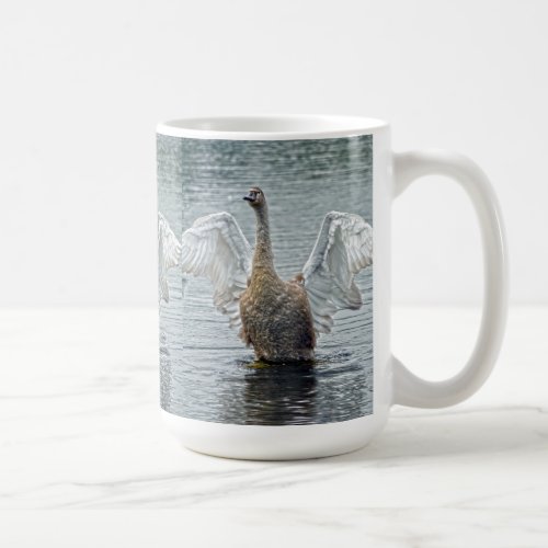 A Preening Mute Swan III Wildlife Photo Coffee Mug